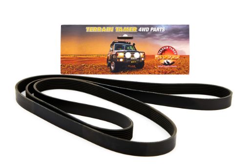 BELT MULTI RIBBED DRIVE TRITON ML 6G74