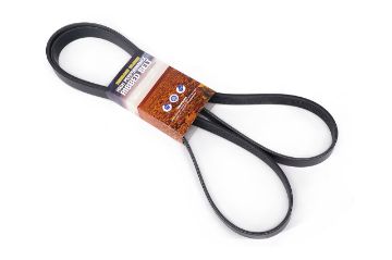 BELT FAN & ALTERNATOR