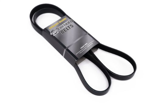 T/T FORTIFIED BELT 4N15 2.4L ENGINE ONLY