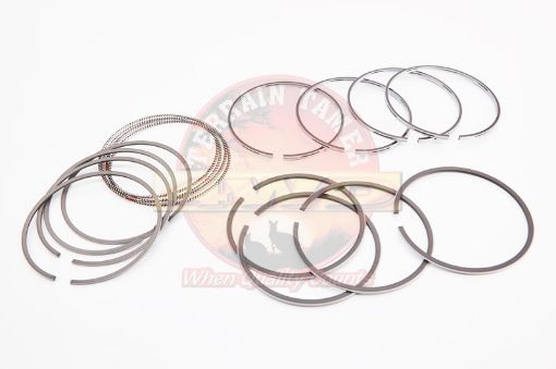 RING SET PISTON 1.00 3L JAPANESE