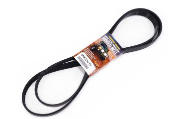BELT SERPENTINE 3.0L BFWS & BF2S