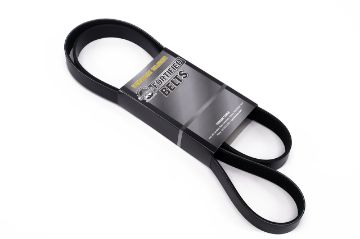 T/T FORTIFIED BELT YS23DDT 2.3L ENGINE ONLY