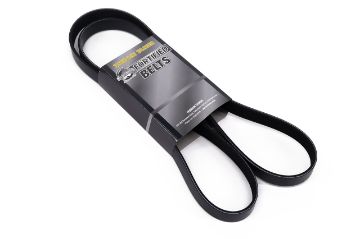 T/T FORTIFIED BELT 4N15 2.4L ENGINE ONLY