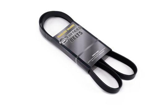 T/T FORTIFIED BELT 4D56T 2.5L ENGINE ONLY