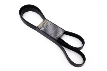 T/T FORTIFIED FAN BELT