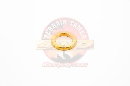 SEAT INJECTOR NOZZLE