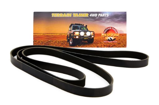 BELT MULTI RIBBED DRIVE TRITON ML 6G74