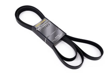 T/T FORTIFIED BELT  P4AT ENGINE 2.2L ONLY