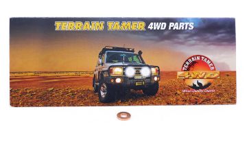 INJECTOR COPPER SEAL LOWER