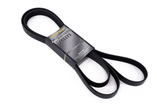 T/T FORTIFIED BELT  P4AT ENGINE 2.2L ONLY