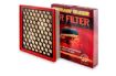 T/T AIR FILTER 2.0L BI TURBO SC20M  LDV T60 (A2072)