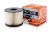 T/T FUEL FILTER 2.0LBI TURBO SC20M LDV T60 (R2922P)