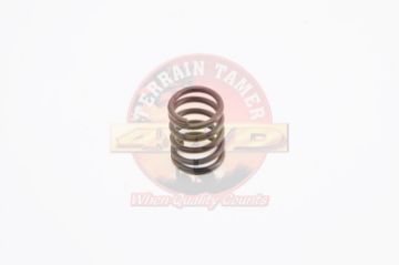 Spring Rear Brake Shoe Hold Down