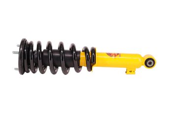 Coil Over Shock Assy Pair Raise 35Mm To 100Kg Triton Mq Mr