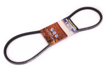 Belt Fan T/T Match Free
