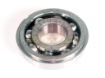 Bearing Diff Hemisphere