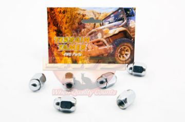 Nut Wheel Chrome Kit Set