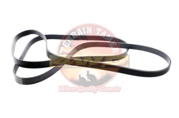 Fan Belt Kit P5at 3.2L