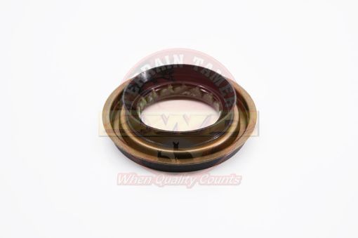 Seal Diff Pinion