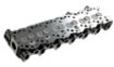 Cylinder Head Complete With Camshaft 1Hz Early & Late