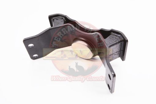 Engine Mount Rear Mtm