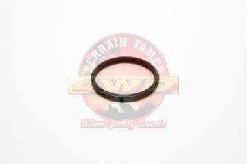 Thermostat O-Ring