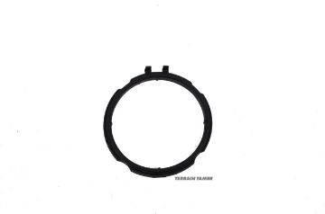 Gasket Intake Flange
