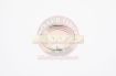 Ring Oil Storage Diff