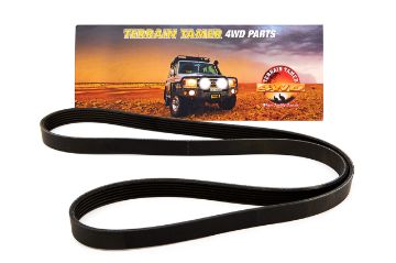 Belt Serpentine Diesel