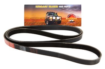 Belt Serpentine V6 6Ve1 3.5L Petrol