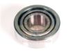 Bearing Countershaft Front 5 Speed