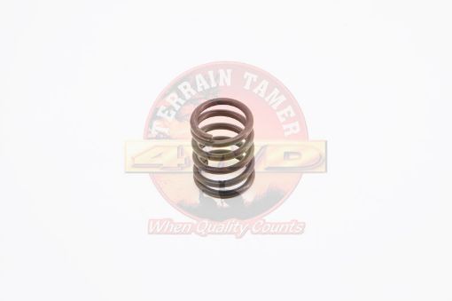 Spring Rear Brake Shoe Hold Down