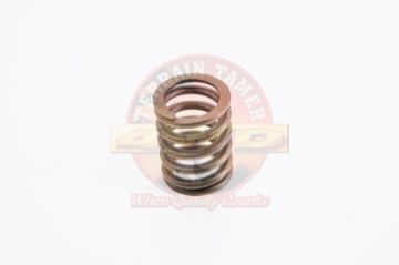 Valve Spring