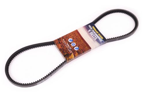 Belt Fan T/T Match Free
