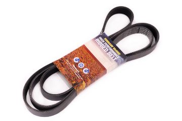 Belt Fan Serpentine 1Grfe 4.0L