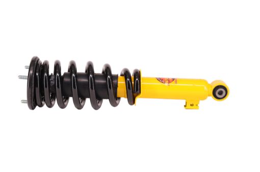 Coil Over Shock Assy Pair Raise 35Mm To 100Kg Triton Mq Mr
