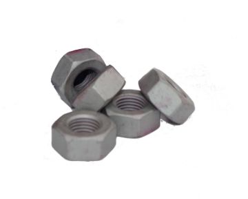 Nut Lower Control Bolt Rear