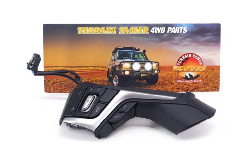 Switch Steering Pad L/H Black Trim