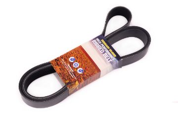 Belt Serpentine