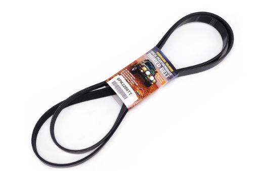 Belt Serpentine 3.0L Bfws & Bf2s