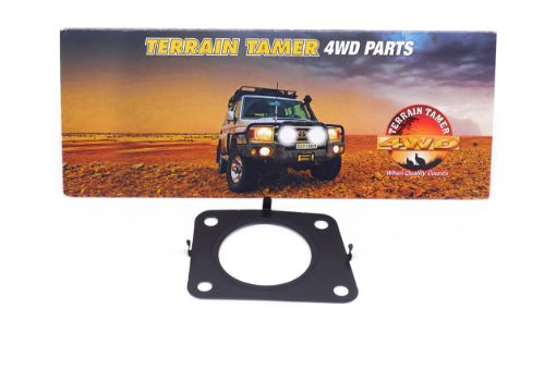 Gasket, Intake Flange