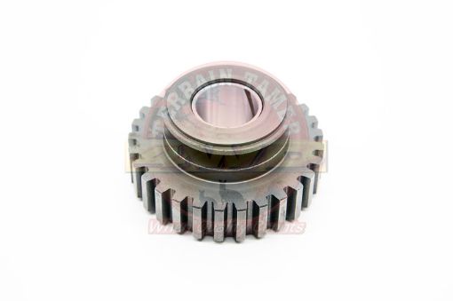 Gear Reverse Idler T=29