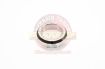 Retainer Axle Bearing Rear
