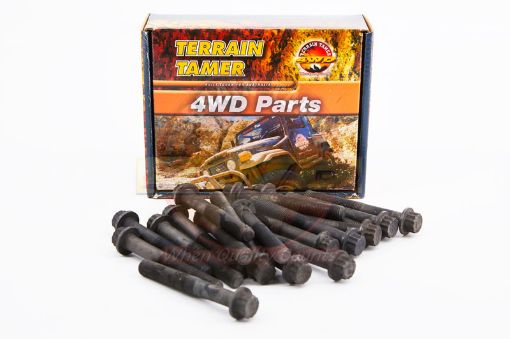 Head Bolt Kit 4D56t