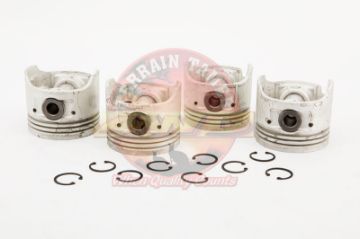 Piston Set 3L Std Art