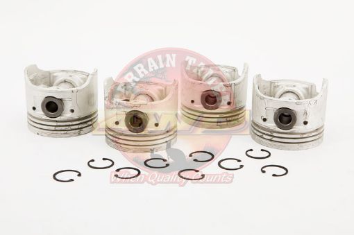 Piston Set 3L Std Art