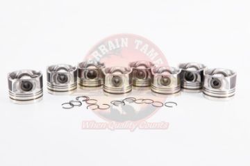 Piston Set 0.25Mm 4 X R/H 4 X L/H 1Vdftv