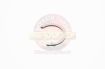 Circlip 1St Gear Mainshaft Caged Roller T=2.50