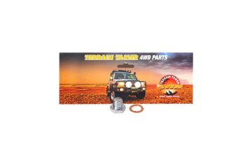 Diff Filler Plug & Gasket