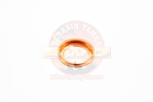 Washer Sump Plug
